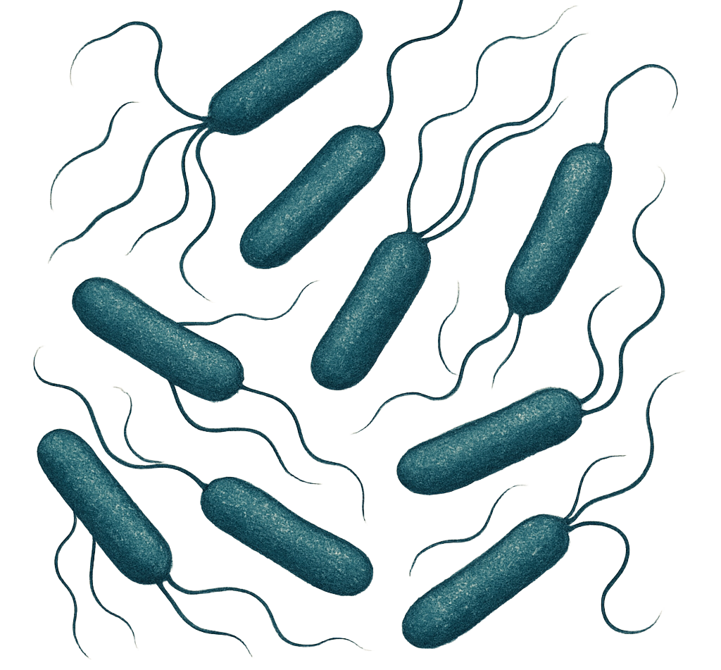 Acid Fast Control Slide